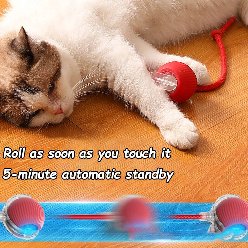 Smart Interactive Cat Toy – Cat Interactive Ball, Silicone, Rechargeable, Quiet, Automatic, for Indoor Cats