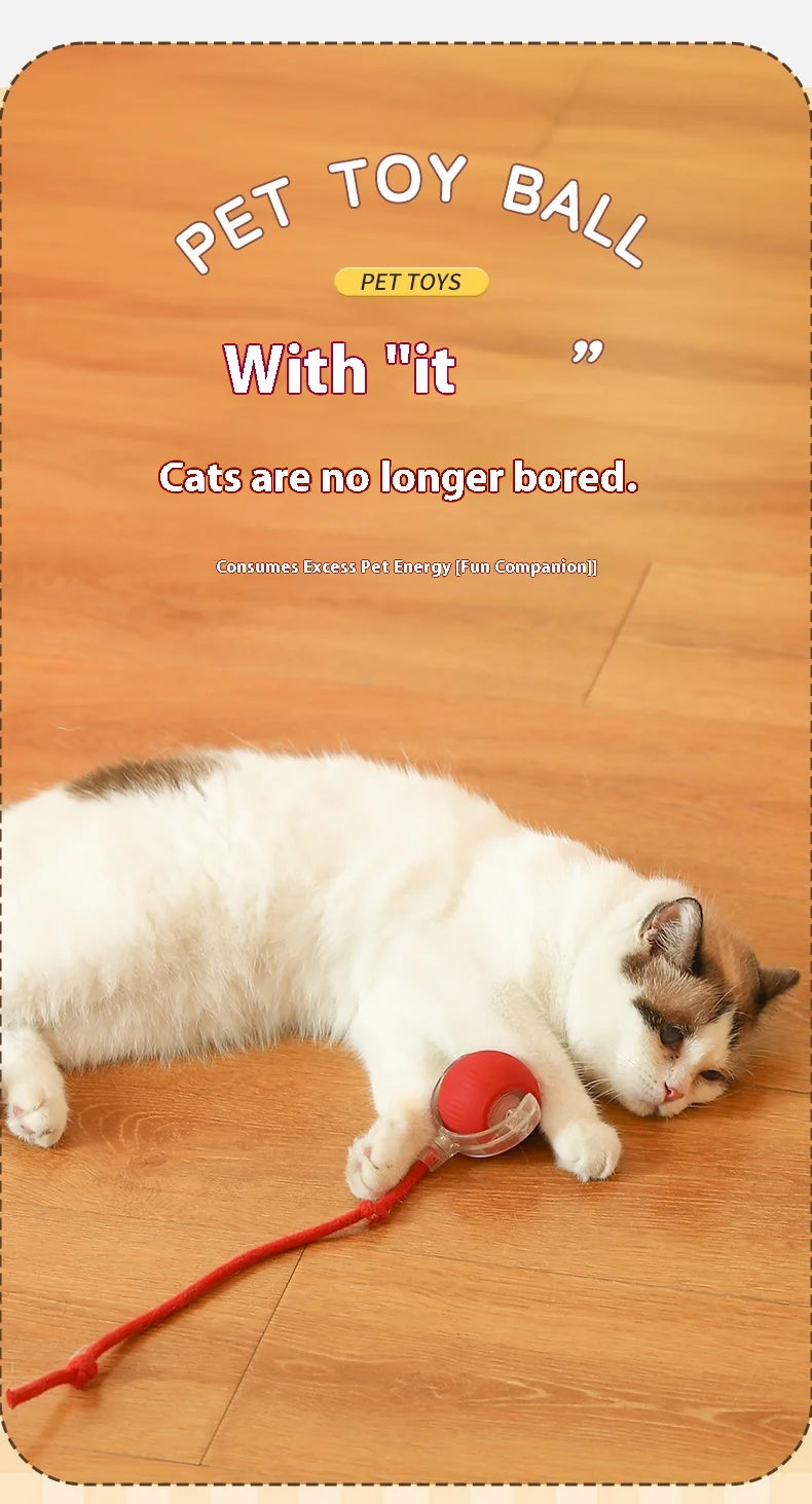 Smart Interactive Cat Toy – Cat Interactive Ball, Silicone, Rechargeable, Quiet, Automatic, for Indoor Cats