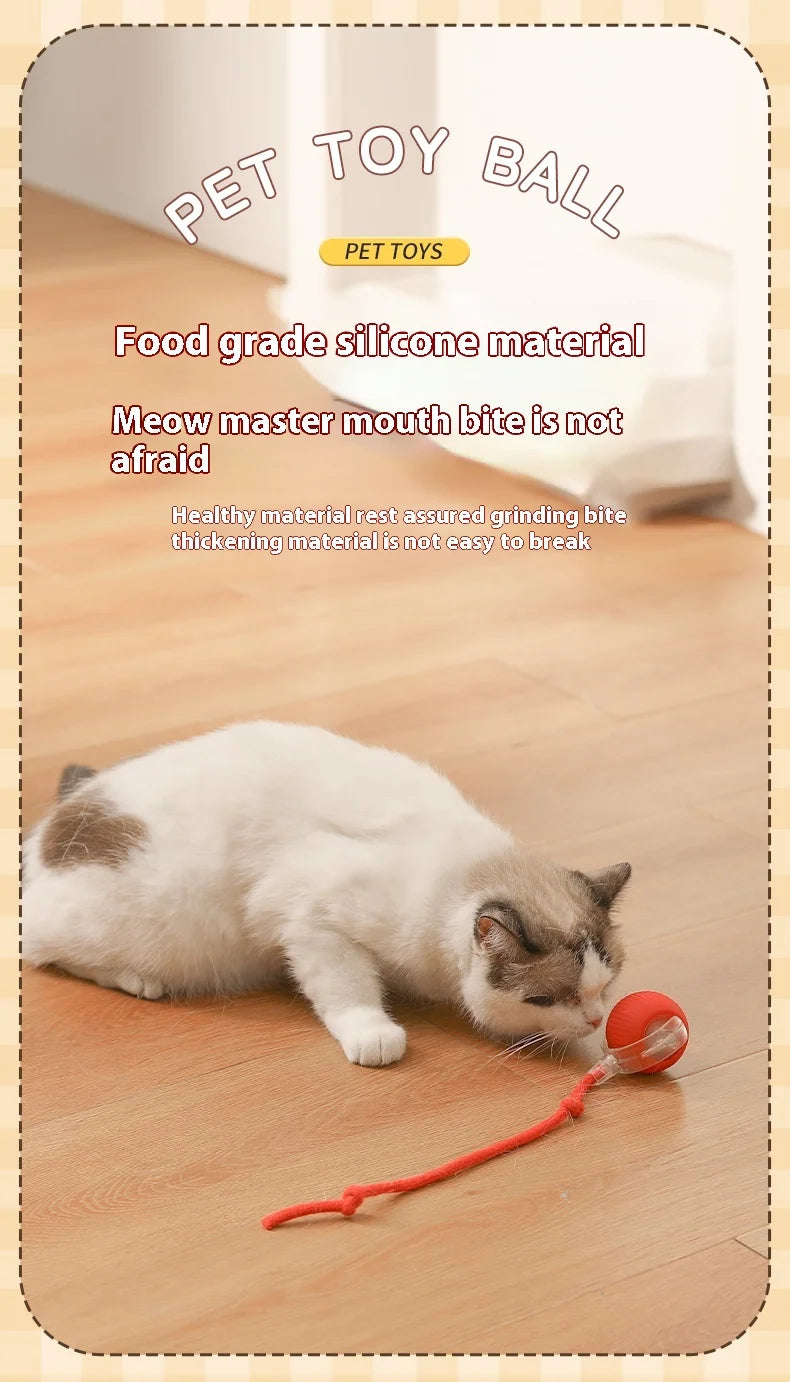Smart Interactive Cat Toy – Cat Interactive Ball, Silicone, Rechargeable, Quiet, Automatic, for Indoor Cats
