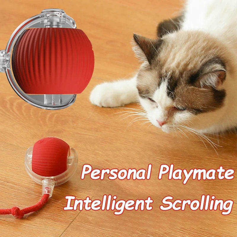 Smart Interactive Cat Toy – Cat Interactive Ball, Silicone, Rechargeable, Quiet, Automatic, for Indoor Cats
