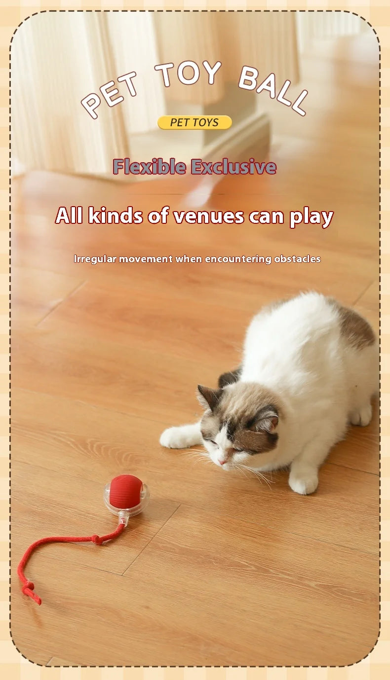 Smart Interactive Cat Toy – Cat Interactive Ball, Silicone, Rechargeable, Quiet, Automatic, for Indoor Cats